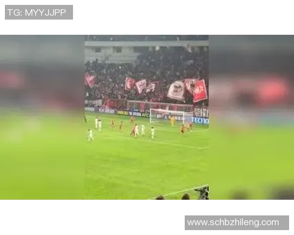 女粉丝追逐足球明星的热血故事与感人瞬间揭秘