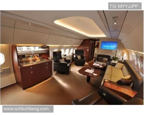 足球明星私人飞机价格揭秘奢华与荣耀的天空之旅