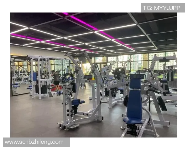 提升力量与耐力的理想选择哑铃架健身房助你实现健身目标