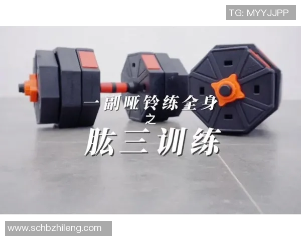 有效锻炼肱三头肌的哑铃动作推荐与技巧分享