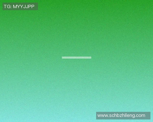 篮球明星文具套盒闪耀登场助力学习与运动完美结合
